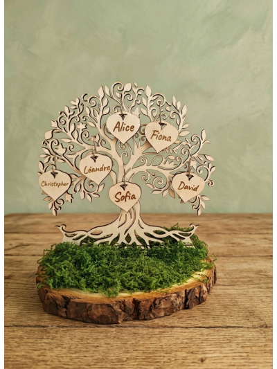 Arbre socle et noms