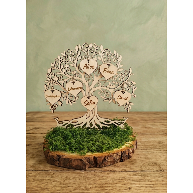Arbre socle et noms