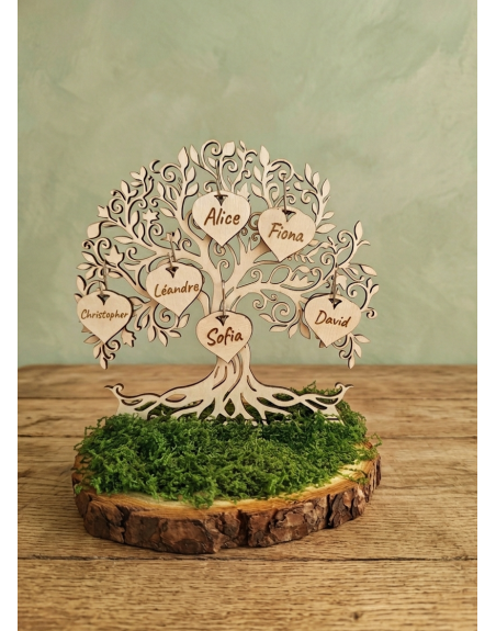 Arbre socle et noms